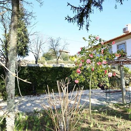 Quinta De Vila Verde- Paixao Ancestral, Turismo Rural Marco de Canavezes Esterno foto