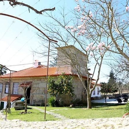 Quinta De Vila Verde- Paixao Ancestral, Turismo Rural Marco de Canavezes Esterno foto